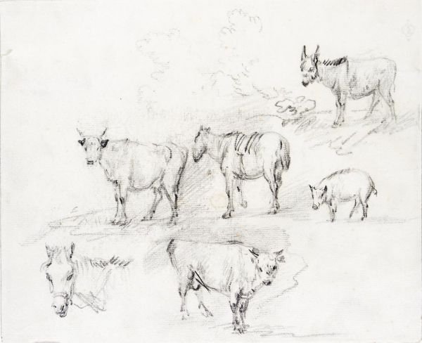 Study Of Horses, Cows, A Donkey And A Pig