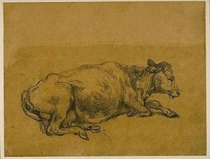 Study of a Cow