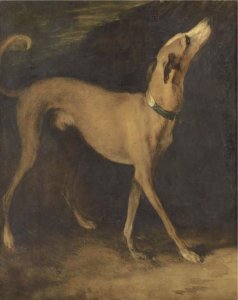 A greyhound in a landscape