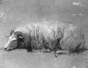 Study of a Sheep 1757-59