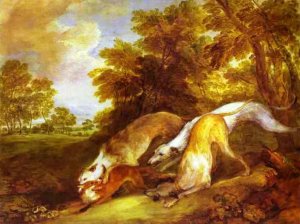 Greyhounds coursing a fox